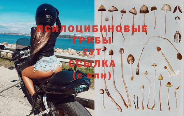 кристаллы Абаза