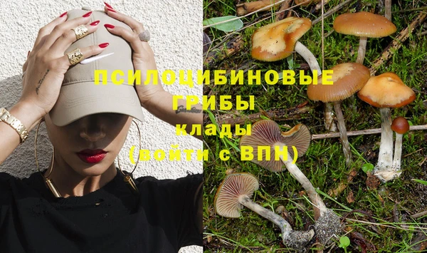 трава Абинск