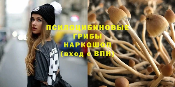 кристаллы Абаза