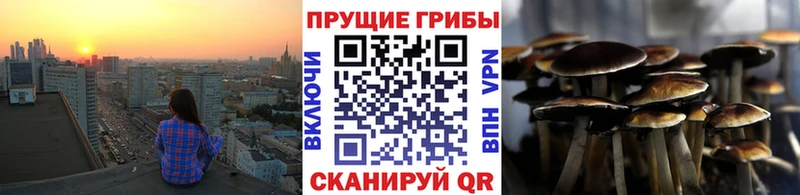 Псилоцибиновые грибы GOLDEN TEACHER  Нефтеюганск 